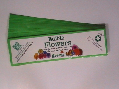 Christmas Window Stickers