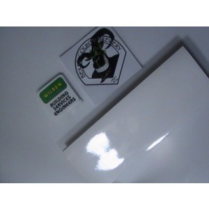 Square Blank Stickers