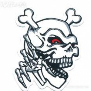 Die Cut Car Stickers