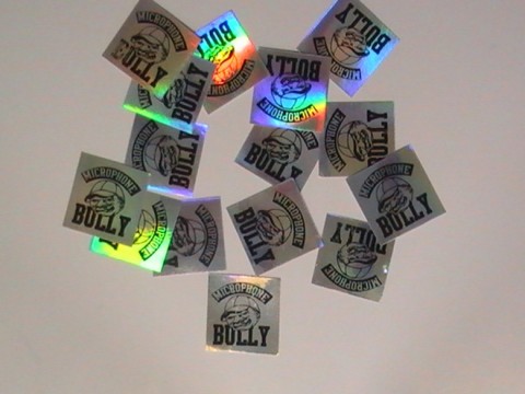 Square Foil Stickers